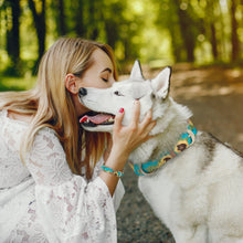 Load image into Gallery viewer, Sunflower Collar and Bracelet Bundle (PRE-ORDER)