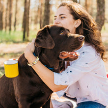 Load image into Gallery viewer, Fruit Collar and Bracelet Bundle (PRE-ORDER)