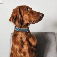 Load image into Gallery viewer, Bone Paw Collar and Bracelet Bundle (PRE-ORDER)