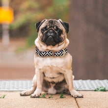 Load image into Gallery viewer, Black and White collar Bracelet Bundle (PRE-ORDER)