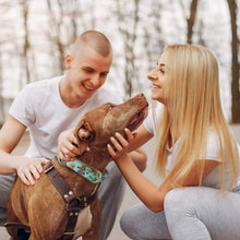 Load image into Gallery viewer, Tropical Flowers Collar and Bracelet Bundle (PRE-ORDER)