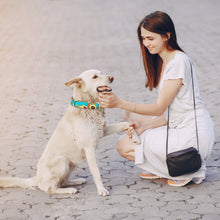 Load image into Gallery viewer, Sunflower Collar and Bracelet Bundle (PRE-ORDER)