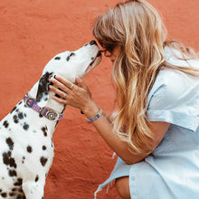 Load image into Gallery viewer, Patterned Collar and Bracelet Bundle (PRE-ORDER)